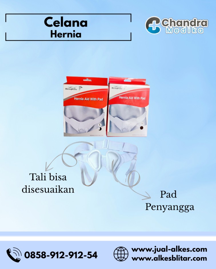 celana hernia
