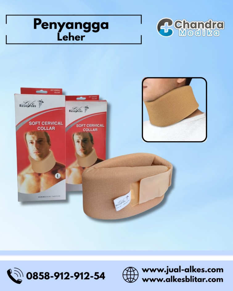 penyangga leher