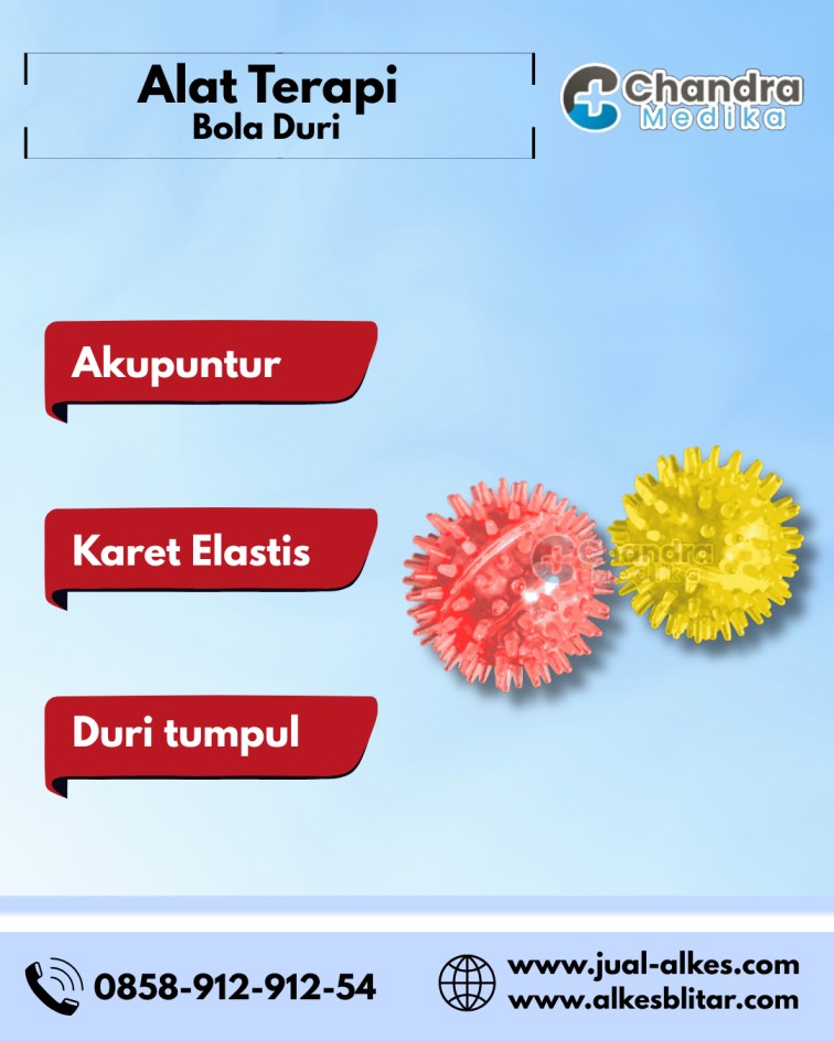  alat terapi bola duri