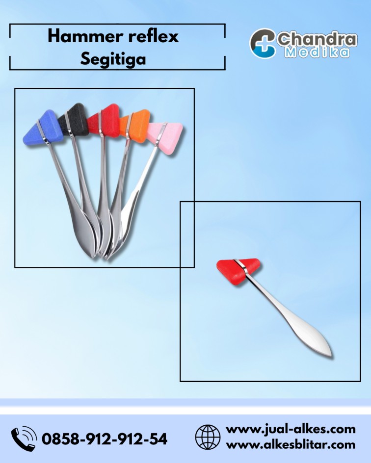 hammer reflex segitiga
