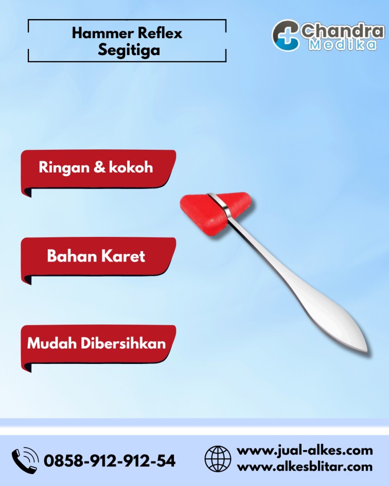 hammer reflex segitiga