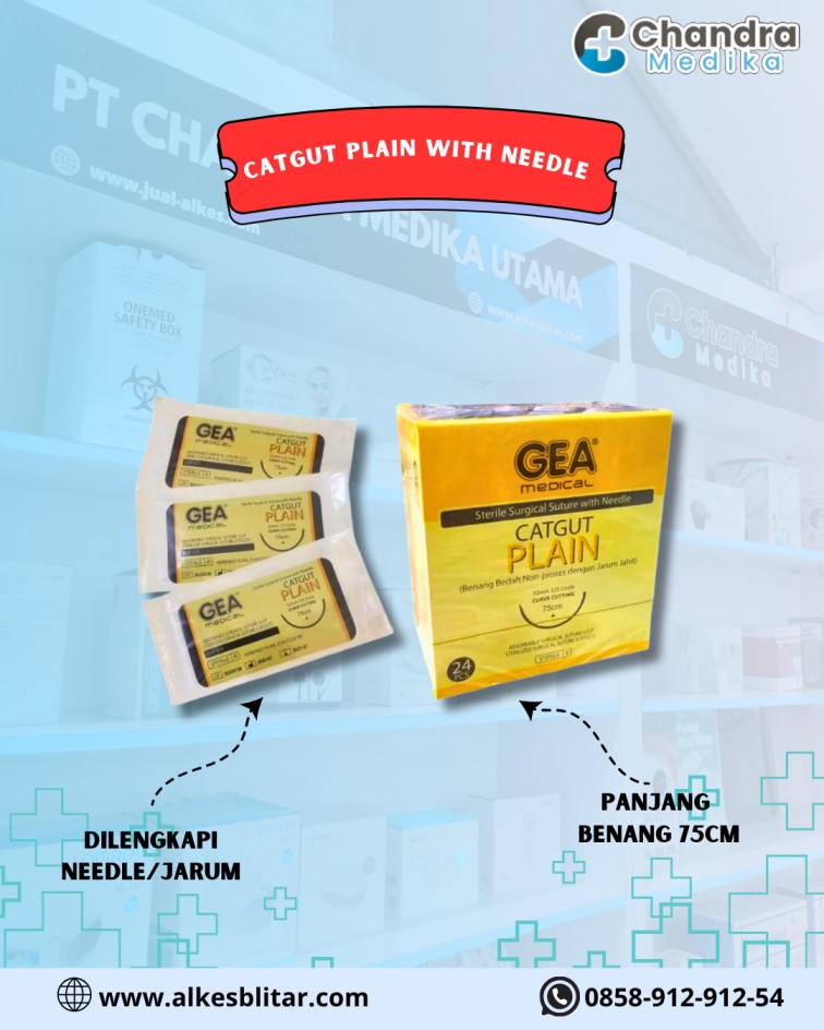 Catgut Plain with Needle. Benang ini dikenal sebagai salah satu jenis benang bedah absorbable (dapat diserap tubuh) yang efektif, fleksibel, dan mudah digunakan untuk berbagai prosedur pembedahan.