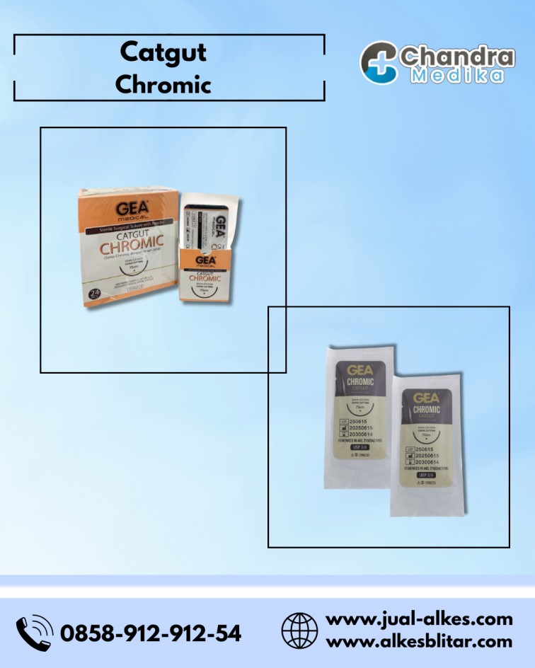 catgut chromic
