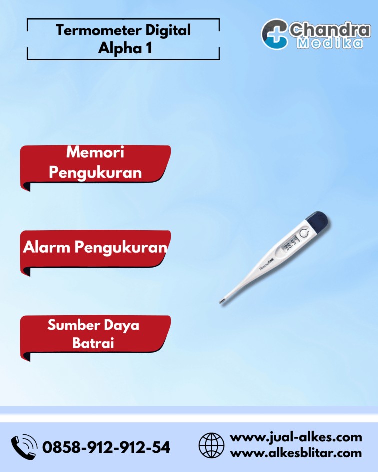 Termometer Digital ThermoONE Alpha 1